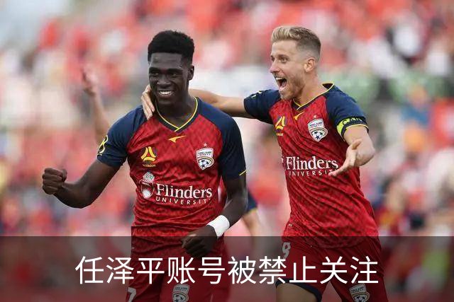 任泽平账号被禁止关注