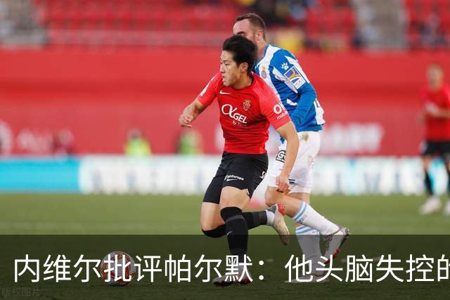 内维尔批评帕尔默：他头脑失控的行为很愚蠢，罗杰斯也该吃到红牌