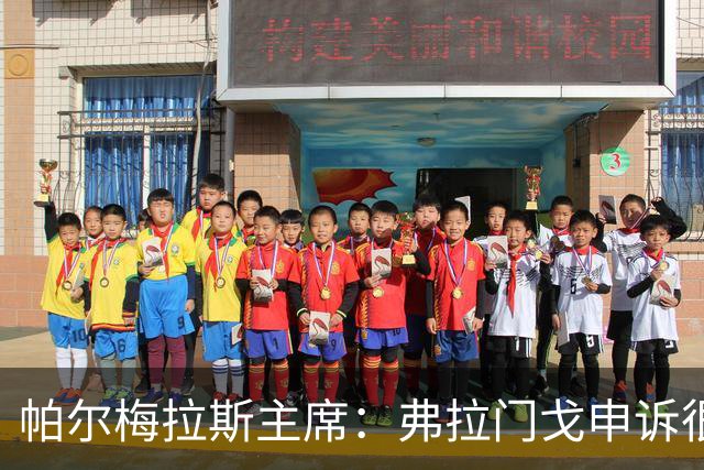 帕尔梅拉斯主席：弗拉门戈申诉很可笑，没理由为成功而走捷径