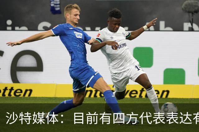 沙特媒体：目前有四方代表表达有意参与利雅得胜利收购的兴趣
